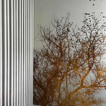 Cocoon Διαμέρισμα Μπαγιέ