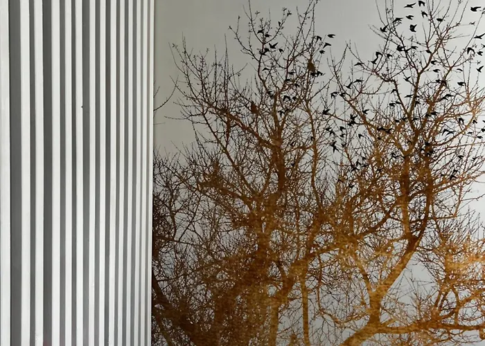 Cocoon Apartment Bayeux